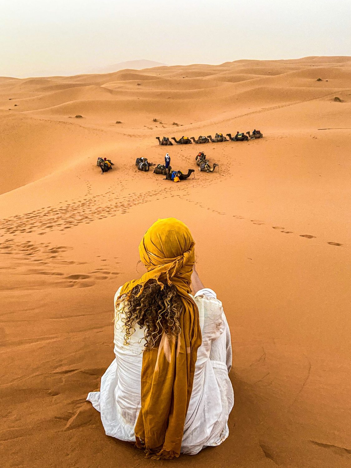 Camel caravan crossing the desert at sunset near Merzouga in the Erg Chebbi dunes