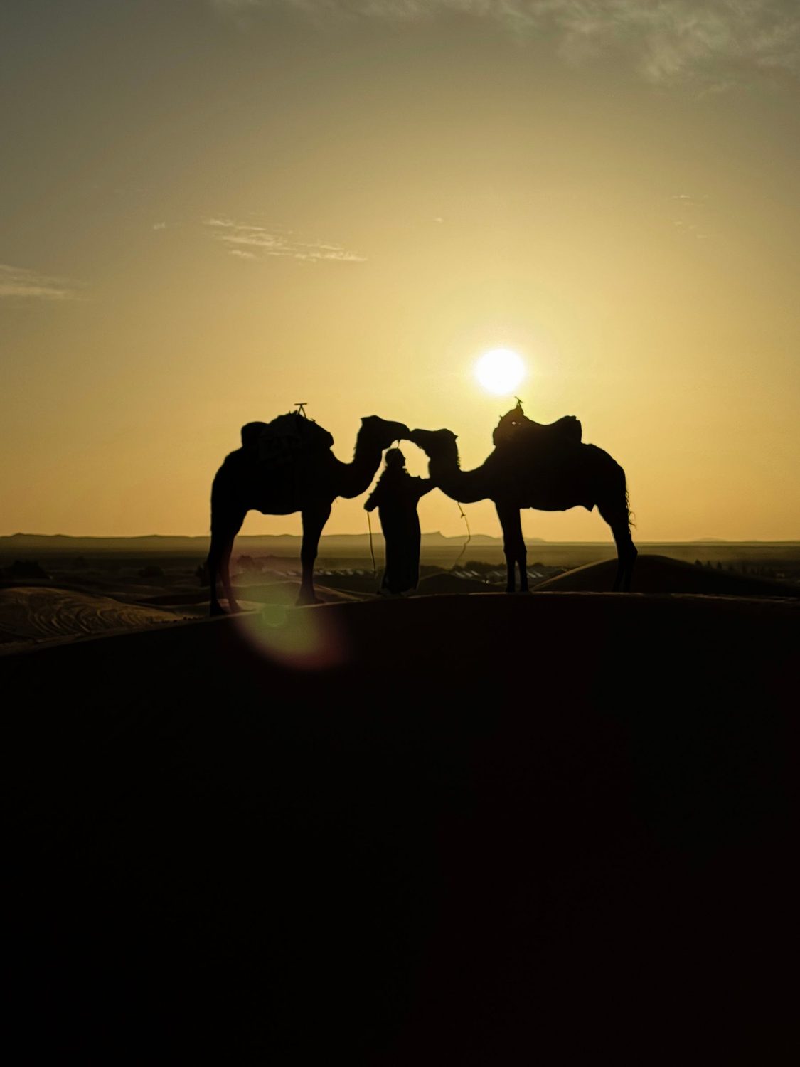 Camel rider and camels silhouetted against the sunset over the Erg Chebbi dunes near Merzouga