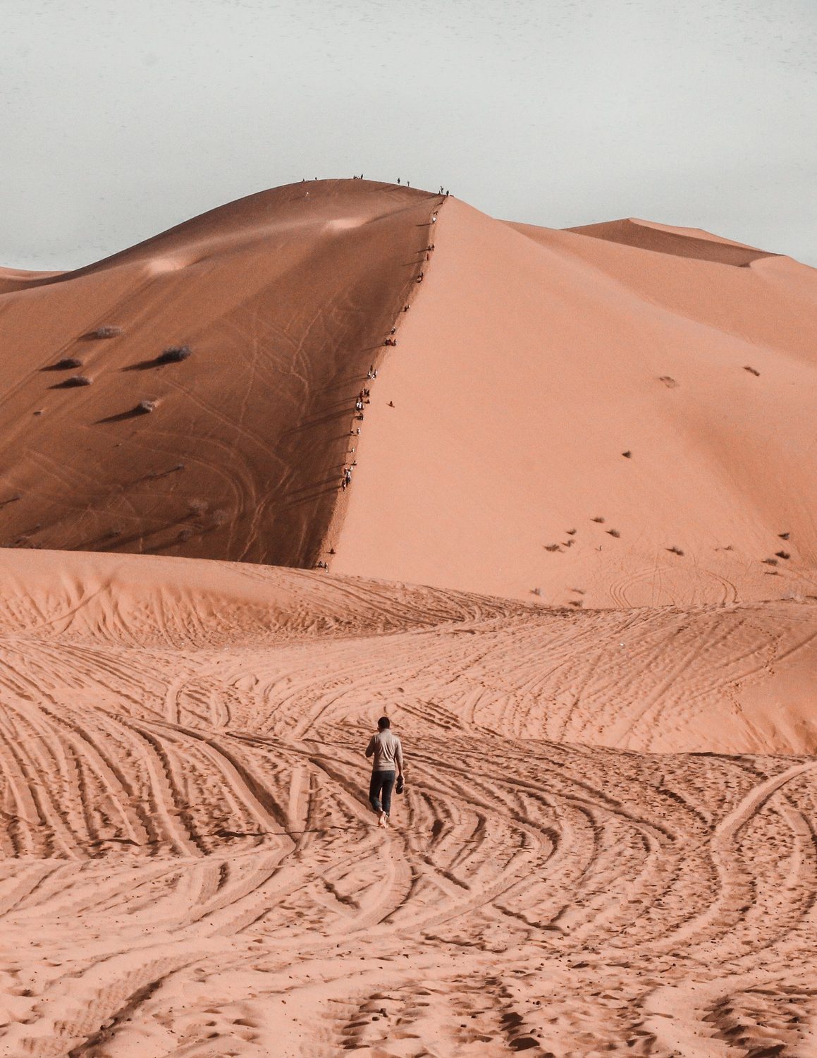 A lone walker crossing the vast sand dunes of Merzouga under clear skies